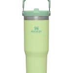 تصویر تراول ماگ نی دار استنلی 880 میلی لیتر - خاکستری Stanley the iceflow flip straw tumbler 0.88l