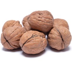 تصویر گردو با پوست کاغذی 