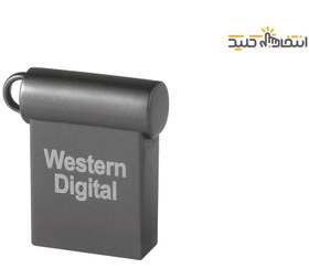 تصویر فلش مموری وسترن دیجیتال مدل My Pro ظرفیت 16 گیگابایت Western Digital My Pro Flash Memory 16GB