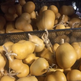 تصویر کدو قلیونی چوبی 