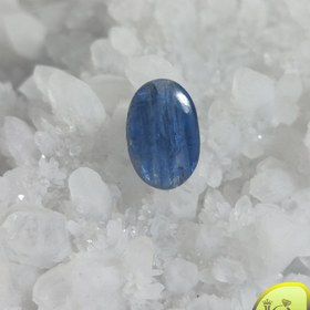 تصویر نگین کیانیت 