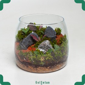 تصویر تراریوم شاتل کد S03 