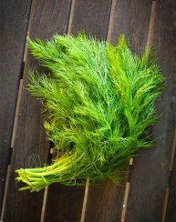 تصویر شوید خشک پفکی 