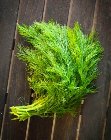 تصویر شوید خشک پفکی 