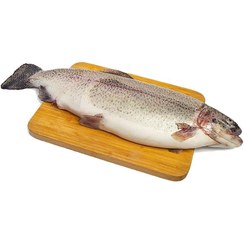 تصویر ماهی سالمون 