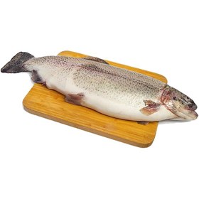 تصویر ماهی سالمون 