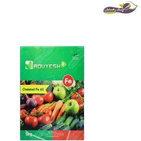 تصویر کود کلات آهن (6%) رویش ROUYESH 4 (chelated Fe %6)