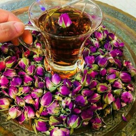 تصویر غنچه گل محمدی 