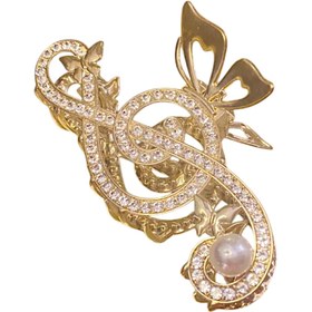 تصویر کلیپس مجلسی کلید سل موسیقی 