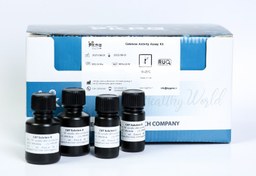 تصویر CAT Assay Kit (48 reactions) 