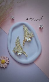 تصویر کلیپس مجلسی 