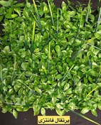 تصویر پنل مصنوعی پرتقالی فانتزی 