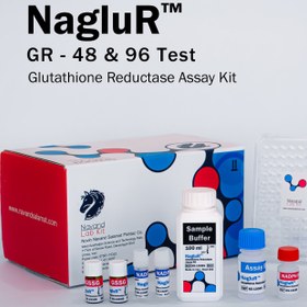 تصویر کیت سنجش گلوتاتیون ردوکتاز GR به روش کالریمتریک محصول نوند سلامت NagluR™-Glutathione Reductase Assay Kit-GR