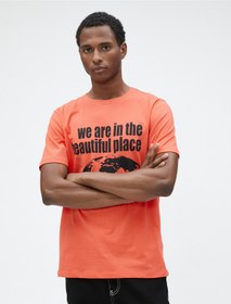 تصویر تی شرت آستین کوتاه مردانه کوتون ا koton | 3SAM10925HK 4756695 koton | 3SAM10925HK 4756695