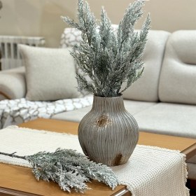 تصویر بوته کاج برفی 