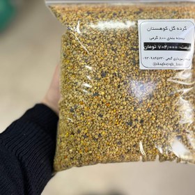 تصویر گرده گل کوهستان pollen