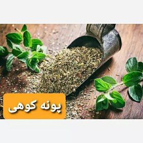 تصویر پونه کوهی امسالی وتازه 