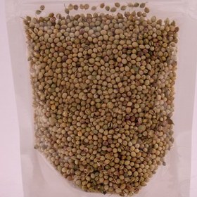 تصویر تخم گشنیز 