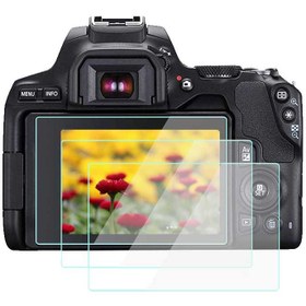 تصویر محافظ صفحه نمایش دوربین کانن LCD Screen Protector for Canon EOS 250D 