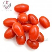 تصویر بذر گوجه زیتونی ببری زرد درختی cherry tomato seeds