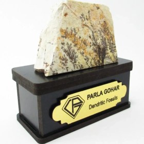 تصویر سنگ شجر فسیلی کد 2190 