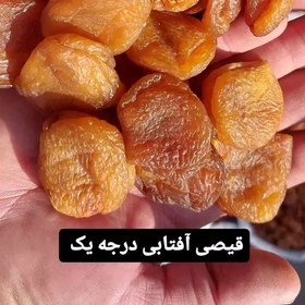 تصویر قیصی آفتابی درجه یک (1000گرمی) ارسال رایگان 