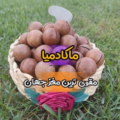 تصویر ماکادمیا سایز درشت 