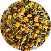 تصویر گل بابونه شیرازی 