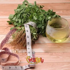 تصویر عرق شنبلیله 11801