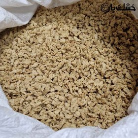 تصویر سویا سبحان 