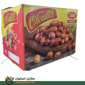 تصویر سنجد کارتنی 