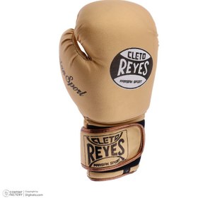 تصویر دستکش بوکس ریس مدل Fiter pro 5 - 12 