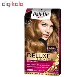 تصویر کیت رنگ مو پلت Palette سری Deluxe رنگ دارچینی طلایی شماره 65-7 حجم 50ml 