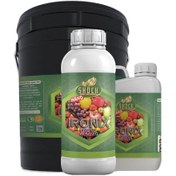 تصویر کود آهن مایع شوک Shock Liquid Iron Fertilizer