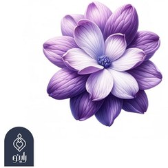 تصویر عطر یاس بنفش طبیعی (Purple Yas) 