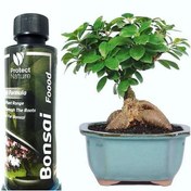 تصویر کود بنسای 125 سی سی پروتکت نیچر Bonsai Fertilizer