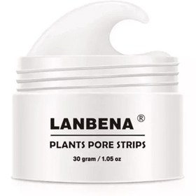 تصویر ماسک پاک کننده بینی Lanbena مدل PLANTS 