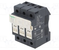 تصویر نگهدارنده فیوز اشنایدر TeSys DF – مدل DF103 | Fuse Carrier 3P 32A 