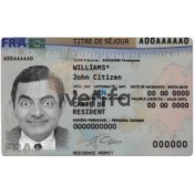 تصویر فایل کارت اقامت فرانسه لایه باز (جدید) 