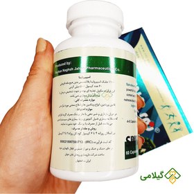 تصویر جلبک دریایی اسپیرولینا 60 عددی 500 میلی گرمی ( Spirulina Capsule ) 