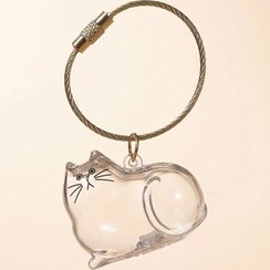 تصویر جاکلیدی نگهدارنده موی گربه 