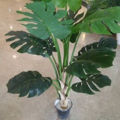 تصویر درخت مصنوعی برگ انجیری 