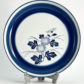 تصویر دیس لبه دار آریتا 