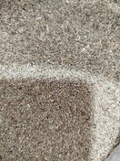 تصویر زنیان (اجغول) - ۵۰ گرم Ajwain