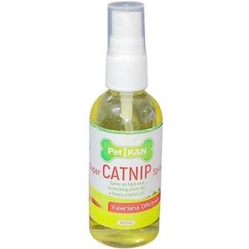 تصویر کت نیپ K&n 