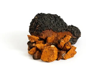 تصویر قارچ چاگا سالم بسته صد گرمی chaga mushroom dried