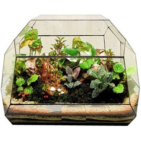 تصویر تراریوم گیاهی مدل sh-2021 کد 029 