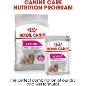 تصویر غذای خشک سگ مینی اگزیجنت رویال کنین (Royal Canin Mini Exigent) وزن 3 کیلوگرم 