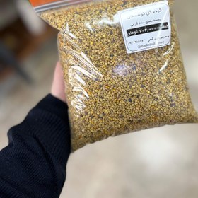 تصویر گرده گل کوهستان pollen