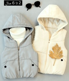 تصویر پافر اقتصادی 